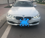 BMW 3 Series 320i 2013 - Bán xe BMW 3 Series sản xuất 2013 màu trắng, 880 triệu, nhập khẩu nguyên chiếc