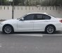 BMW 3 Series 320i 2013 - Bán xe BMW 3 Series sản xuất 2013 màu trắng, 880 triệu, nhập khẩu nguyên chiếc