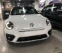 Volkswagen Beetle 2018 - Bán Volkswagen Beetle model 2018 - Xe nhập khẩu chính hãng (Xe huyền thoại)