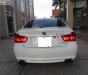 BMW 3 Series 320i 2010 - Bán BMW 3 Series 320i 2010, màu trắng, nhập khẩu giá cạnh tranh