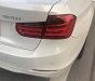 BMW 3 Series 320i 2013 - Bán xe BMW 3 Series sản xuất 2013 màu trắng, 880 triệu, nhập khẩu nguyên chiếc