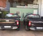 Isuzu Dmax   2009 - Cần bán Isuzu Dmax năm sản xuất 2009, màu đen