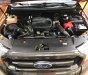 Ford Ranger Wildtrak 3.2L 4x4 AT 2017 - Cần bán Ford Ranger Wildtrak 3.2L 4x4 AT 2017, nhập khẩu nguyên chiếc, 770 triệu