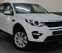 LandRover Discovery  Sport  2018 - Bán hotline 0932222253 - giá xe LandRover Discovery Sport 2018 màu trắng, xanh, màu đỏ, đen + 5 năm bảo dưỡng