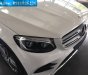 Mercedes-Benz GLC-Class GLC300 2018 - Chuyên các dòng xe Mercedes GLC300 giá ưu đãi nhất Miền Bắc