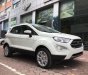 Ford EcoSport 1.5l titanium 2018 - Cần bán xe Ford EcoSport 1.5l Titanium đời 2018, màu trắng giá sock T12, hỗ trợ giao toàn quốc