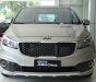 Kia Sedona Platinum D 2018 - Cần bán xe Kia Sedona Platinum D đời 2019, màu ghi vàng
