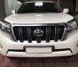 Toyota Land Cruiser Prado TX-L 2.7L 2015 - Cần bán xe Toyota Land Cruiser Prado TX-L 2.7L model 2016, màu trắng, nhập khẩu