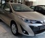 Toyota Vios 2019 - Bán ô tô Toyota Vios năm 2019, màu nâu, giá chỉ 531 triệu