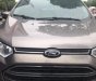Ford EcoSport AT 2015 - Bán Ford EcoSport AT đời 2015, màu xám