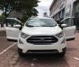 Ford EcoSport 1.5l titanium 2018 - Cần bán xe Ford EcoSport 1.5l Titanium đời 2018, màu trắng giá sock T12, hỗ trợ giao toàn quốc