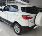 Ford EcoSport 1.5l Titanium 2016 - Bán xe Ford EcoSport 1.5L Titanium năm sản xuất 2016, hỗ trợ trả góp