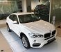 BMW X6 xDrive35i 2017 - Bán BMW X6 xDrive35i đời 2017, màu trắng, nhập khẩu