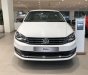 Volkswagen Polo 2018 - Cần bán Volkswagen Polo Sedan 1.6AT 6 cấp số, model 2018, xe nhập khẩu chính hãng