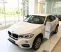 BMW X6 xDrive35i 2017 - Bán BMW X6 xDrive35i đời 2017, màu trắng, nhập khẩu