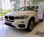 BMW X6 xDrive35i 2017 - Bán BMW X6 xDrive35i đời 2017, màu trắng, nhập khẩu