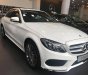 Mercedes-Benz C class C300 AMG 2018 - Mercedes C300 AMG giao toàn quốc, đủ màu giao ngay KM cực hấp dẫn - LH: 0944 33 81 83