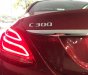 Mercedes-Benz C class C300 AMG 2016 - Cần bán xe Mercedes C300 AMG đời 2016 màu đỏ, biển Hà Nội