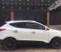 Hyundai Tucson 2.0 2011 - Bán Hyundai Tucson 2.0 cuối 2011, bản tự động, xe nhập khẩu full đồ