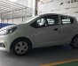 Chevrolet Spark  Duo   2018 - Bán Chevrolet Spark Duo - 2 chỗ giảm ngay 40tr(lăn bánh chỉ 265tr)