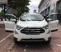 Ford EcoSport Titanium 1.0 EcoBoost 2018 - Bán xe Ford EcoSport Titanium 1.0 EcoBoost 2018, màu trắng, giá 660tr