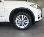 BMW X5 2018 - Bán xe BMW X5 giá tốt, giao xe ngay, hỗ trợ trả góp