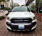 Ford Ranger 2015 - Bán Ford Ranger Wildtrack 3.2 đời 2015