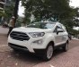 Ford EcoSport Ecosport 1.0l Ecoboost 2018 - Bán Ford EcoSport ecosport 1.0l ecoboost đời 2018, màu trắng, giá 660tr hỗ trợ ngân hàng, giao xe toàn quốc