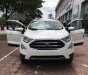 Ford EcoSport Ecosport 1.0l Ecoboost 2018 - Bán Ford EcoSport ecosport 1.0l ecoboost đời 2018, màu trắng, giá 660tr hỗ trợ ngân hàng, giao xe toàn quốc