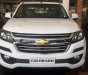 Chevrolet Colorado  2.5 4X2 MT LT 2018 - Bán Chevrolet Colorado năm sản xuất 2018, màu trắng, nhập khẩu nguyên chiếc