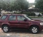 Ford Escape XLT 2002 - Bán Ford Escape 2002 XLT 3.0 V6 2 cầu điện tử