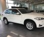 BMW X5 2018 - Bán xe BMW X5 giá tốt, giao xe ngay, hỗ trợ trả góp