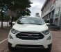 Ford EcoSport Ecosport 1.0l Ecoboost 2018 - Bán Ford EcoSport ecosport 1.0l ecoboost đời 2018, màu trắng, giá 660tr hỗ trợ ngân hàng, giao xe toàn quốc