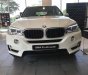 BMW X5 2018 - Bán xe BMW X5 giá tốt, giao xe ngay, hỗ trợ trả góp