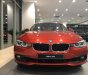 BMW 3 Series 2018 - Cần bán BMW 3 Series sản xuất năm 2018, màu cam, nhập khẩu nguyên chiếc, giá tốt, ưu đãi nhiều