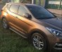 Hyundai Santa Fe 2017 - Bán Hyundai Santa Fe đời 2017, màu nâu