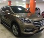 Hyundai Santa Fe 2017 - Bán xe Hyundai Santa Fe đời 2017, màu nâu, chính chủ