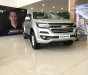 Chevrolet Colorado 2.5L 4x2 MT LT  2018 - Bán tải Chevrolet Colorado 2018, xe nhập khẩu, ưu đãi 30 triệu đồng t12/2018, đủ màu giao ngay, lh: 0963613200