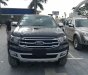 Ford Everest Titanium  2018 - Cần bán Ford Everest Titanium 2018, màu đen, nhập khẩu