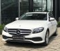 Mercedes-Benz E class E250 2018 - Bán Mercedes E250 sản xuất 2018, màu trắng, xe nhập