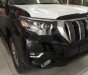 Toyota Land Cruiser   Prado 2018 - Bán Toyota Land Cruiser Prado 2019, màu trắng, nhập khẩu nguyên chiếc