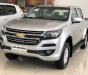 Chevrolet Colorado 2018 - Bán xe Chevrolet Colorado sản xuất năm 2018, màu bạc, xe nhập