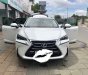 Lexus NX 200T 2.0  2016 - Bán xe Lexus NX 200T 2016