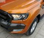 Ford Ranger Wildtrak 2.2L 4x2 AT 2016 - Bán Ford Ranger Wildtrak 2.2L 4x2 AT năm sản xuất 2016, nhập khẩu nguyên chiếc chính chủ