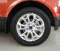 Ford EcoSport Titanium 1.5L AT 2015 - Bán xe Ford EcoSport Titanium 1.5L AT sản xuất 2015