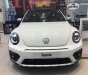 Volkswagen New Beetle 2018 - Volkswagen Beetle Dune nhập khẩu, hỗ trợ vay 80%