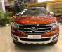 Ford Everest 2.0 Turbo 2018 - Bán Everest 2018 đang về hoàn toàn mới