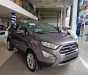 Ford EcoSport   2018 - Bán Ford EcoSport sản xuất năm 2018, màu xám