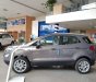 Ford EcoSport   2018 - Bán Ford EcoSport sản xuất năm 2018, màu xám