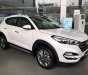 Hyundai Tucson 2018 - Bán Hyundai Tucson sẵn xe, đủ màu giao ngay